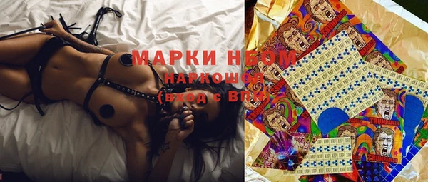 крисы Магадан