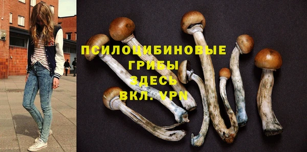 кокс Майский