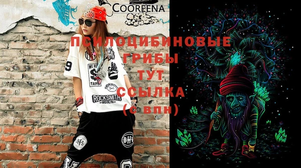 крисы Магадан