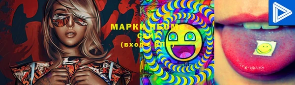 крисы Магадан