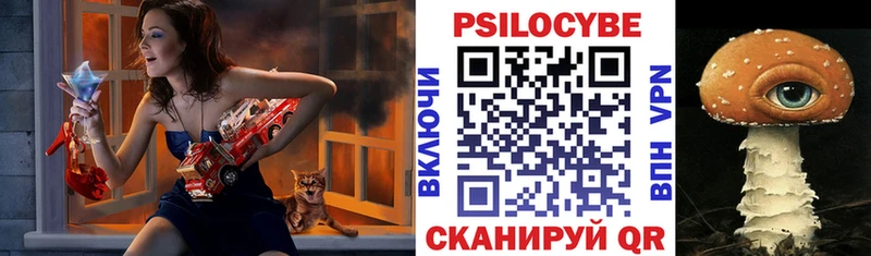 как найти наркотики  Лермонтов  Галлюциногенные грибы GOLDEN TEACHER 